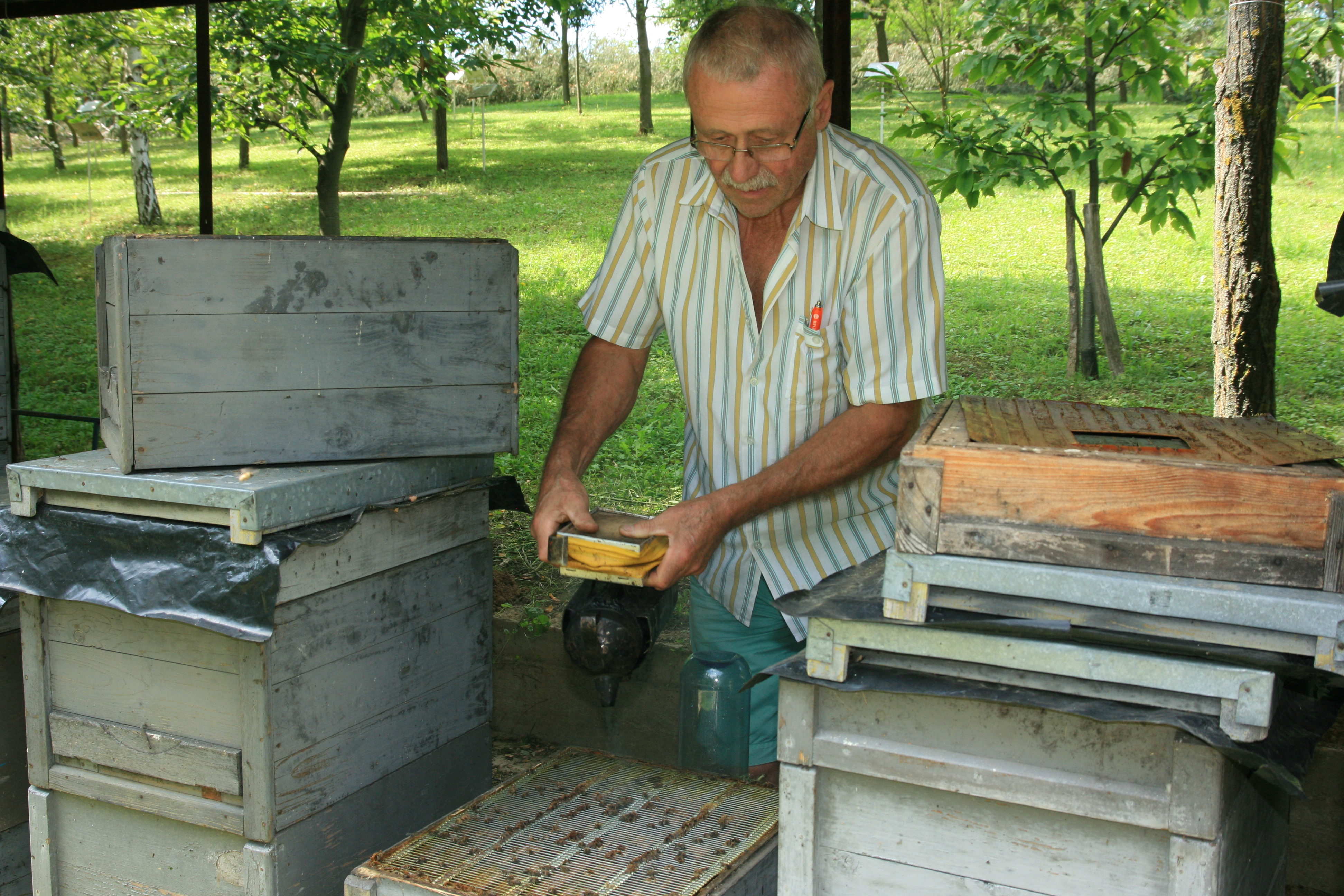 Nagy István méhészete