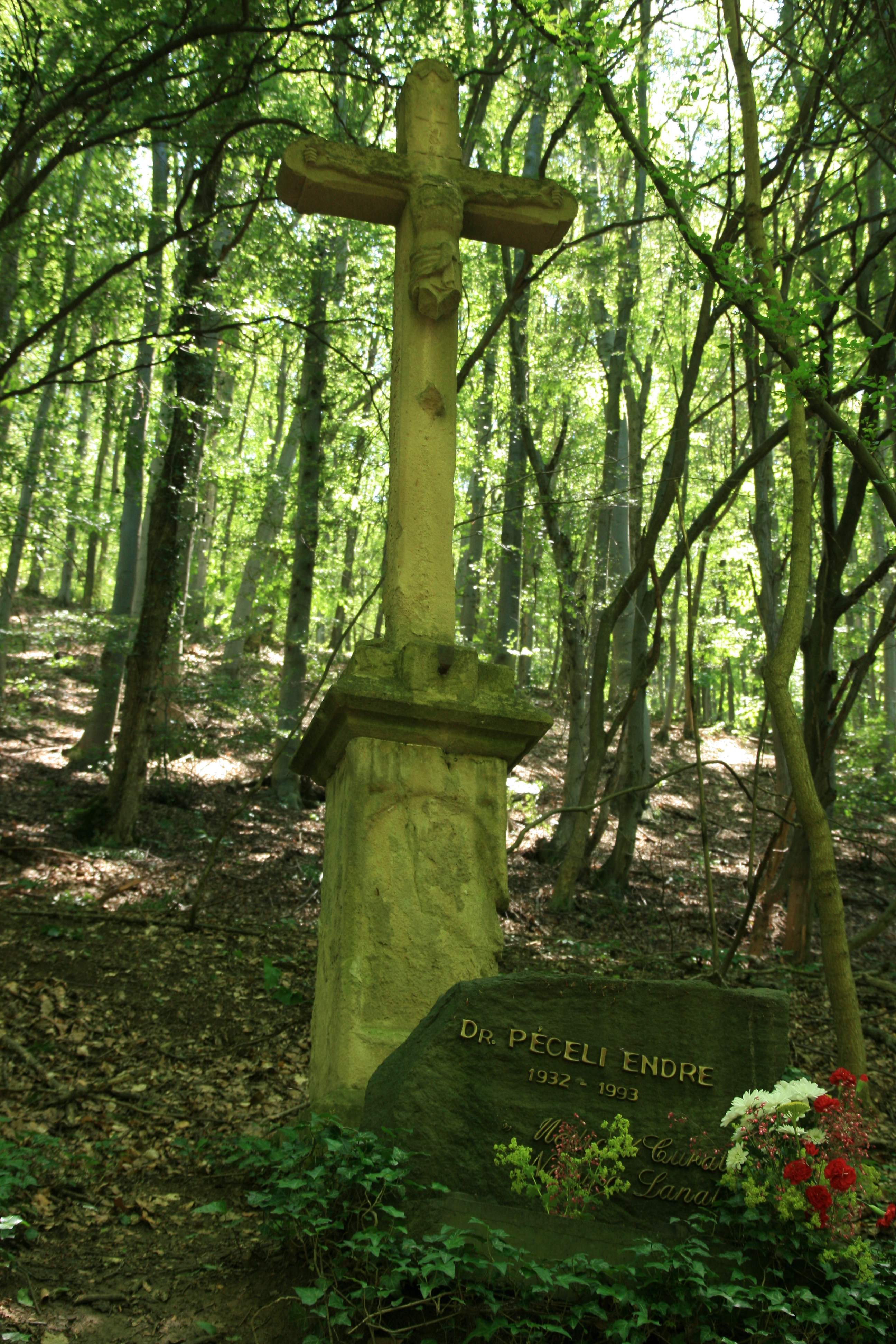 Dr. Péceli Endre síremléke