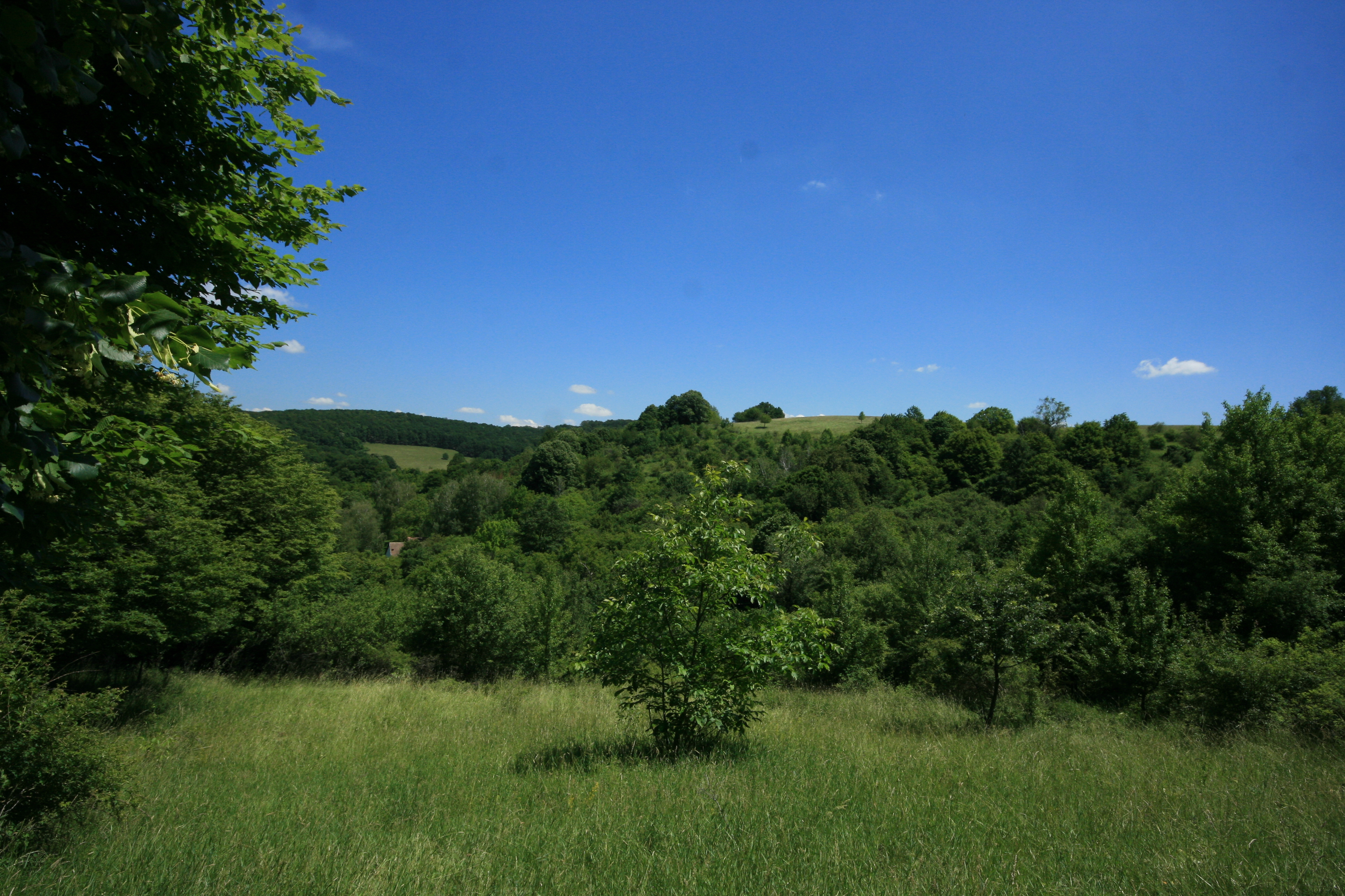 Szent Márton Út Baranyában